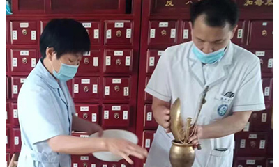 中医内科方药体系